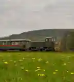 Királyréti Erdei Vasút, Szokolya