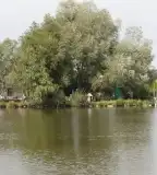 Horgásztó, Szólád