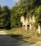 Szóládi löszpincesor, Szólád