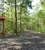 Bagolyvár természetismereti tanösvény, Szolnok