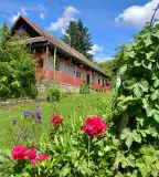 Szőlősor Vendégház Terény, Terény