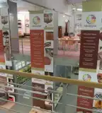 Vasi Múzeumi Látványtár, Szombathely