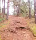 Betyárdombi tanösvény, Táborfalva