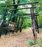 Fenyves tanösvény, Tamási