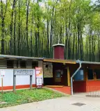 Miklósvári Vadaspark, Tamási