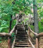 Vas kilátó, Tamási