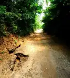 Ürgés tanösvény, Tápiószecső