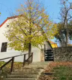 Városi Múzeum, Tapolca