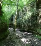 Szakadás-árok szurdokvölgy, Tar