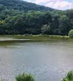 Malom-völgyi tanösvény, Tardos