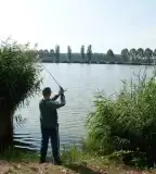 Ölbői-tó, Tárkány