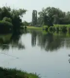 Tárnoki horgásztó, Tárnok