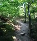 Hegyalja-Malomkő Tanösvény, Sárospatak