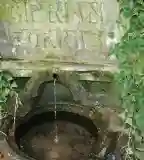 Ciprián forrás, Tihany