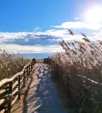 Nádirigó tanösvény, Tiszakécske