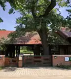 Tiszakürti Arborétum, Tiszakürt