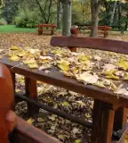 Tiszalöki Arborétum, Tiszalök