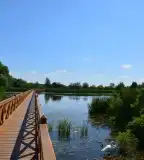 Kenyérgyári-holtág, Tiszalök