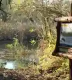 Örvényi Pákász Tanösvény, Tiszafüred