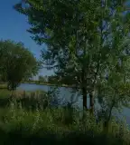 Gulyagyepi horgásztó, Tiszasüly