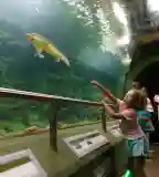 Tisza-tavi Ökocentrum, Poroszló