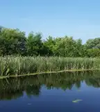 Tiszavalki-főcsatorna, Tiszavalk