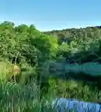 Miklós-bereki tó, Tokod