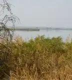 Csaj-tó, Tömörkény