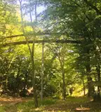 Tardosi lombkorona tanösvény, Tardos