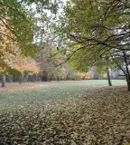 Angol Park, Tormásliget