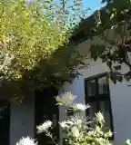 Falumúzeum, Törökbálint