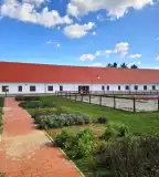 Történelmi Park, Csurgó