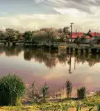 Csónakázó-tó, Tószeg