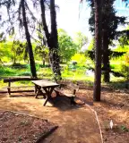 Tuzson János Botanikus Kert, Nyíregyháza