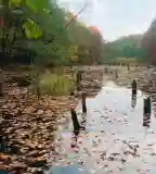 Hubertlaki-tó (Bakonyi Gyilkos-tó), Bakonybél