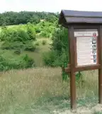 Szár-hegyi tanösvény, Ugod