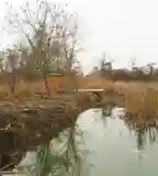 Margi-tanösvény, Újszentmargita