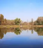 Üllési Horgásztó, Üllés