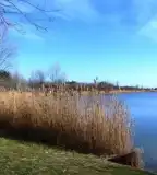 Tanösvény, Üllés