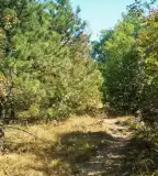 Ürömi Tanösvény, Üröm