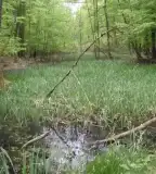 Bockerek tanösvény, Vámosatya