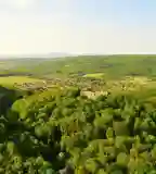 Várgesztesi Parkerdő, Várgesztes