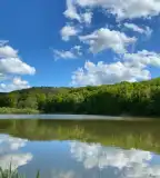 Városlődi Horgásztó, Városlőd