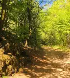 Vár-völgyi tanösvény, Várpalota