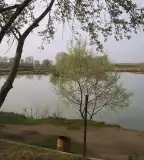 Vecsési horgásztó, Vecsés