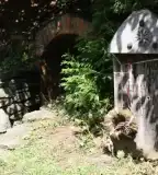 Koronaőrzési hely, Velem