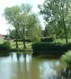 Pamut-tó, Veresegyház