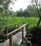 Veresegyházi Tavak Tanösvény, Veresegyház