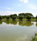 Vértesboglári horgásztó, Vértesboglár