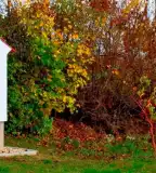 Kálvária, Vértestolna